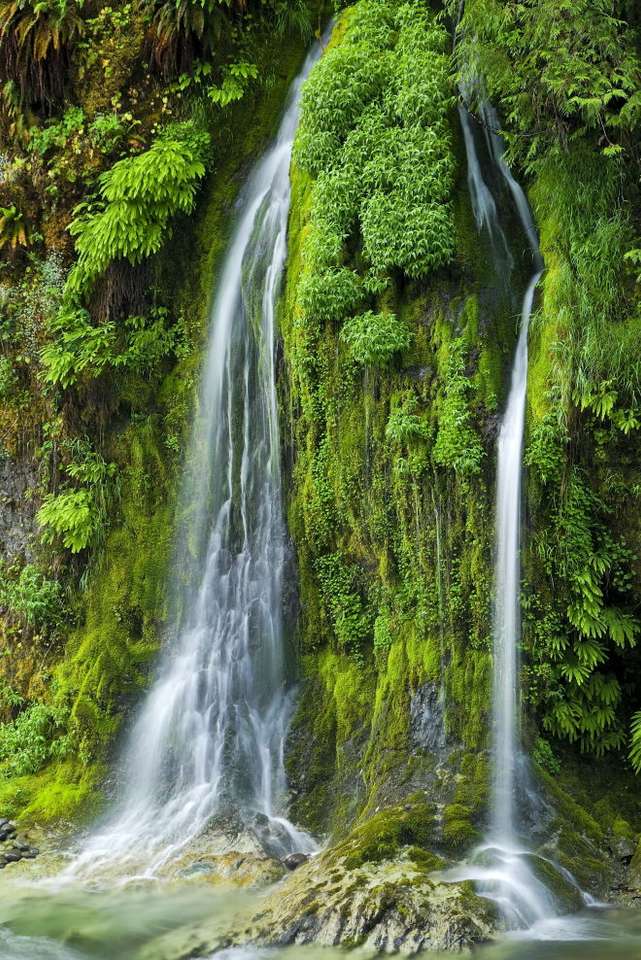 Salmon Creek Falls (USA) puzzle online ze zdjęcia
