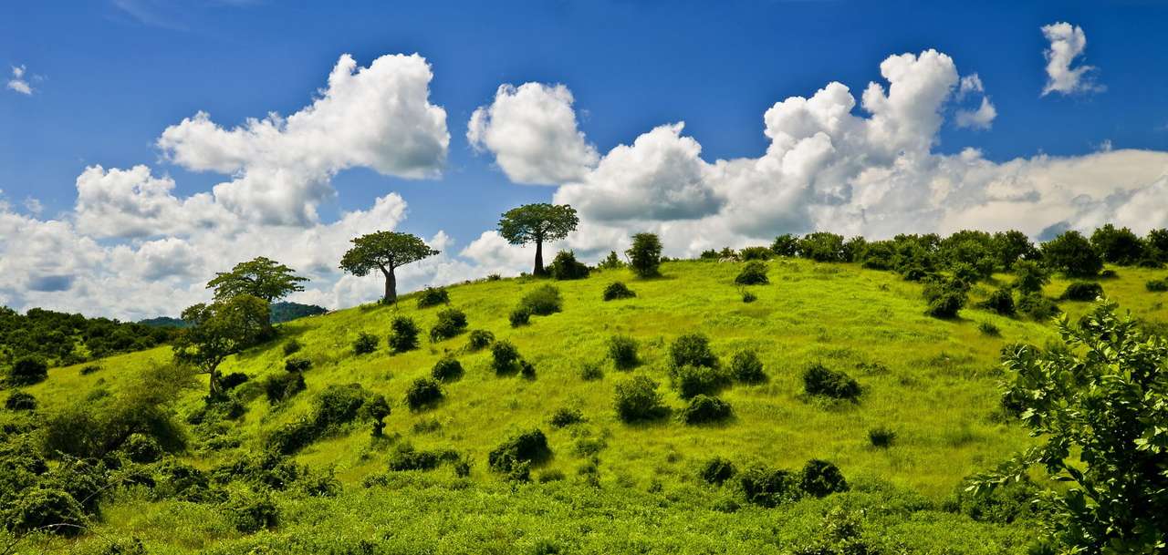 Krajobraz Tanzanii puzzle ze zdjęcia