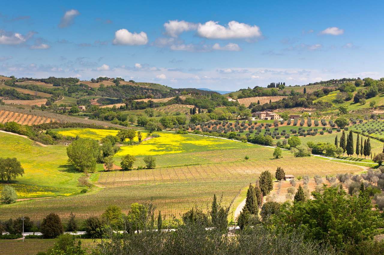 Wzgórza Toskanii (Włochy) puzzle ze zdjęcia