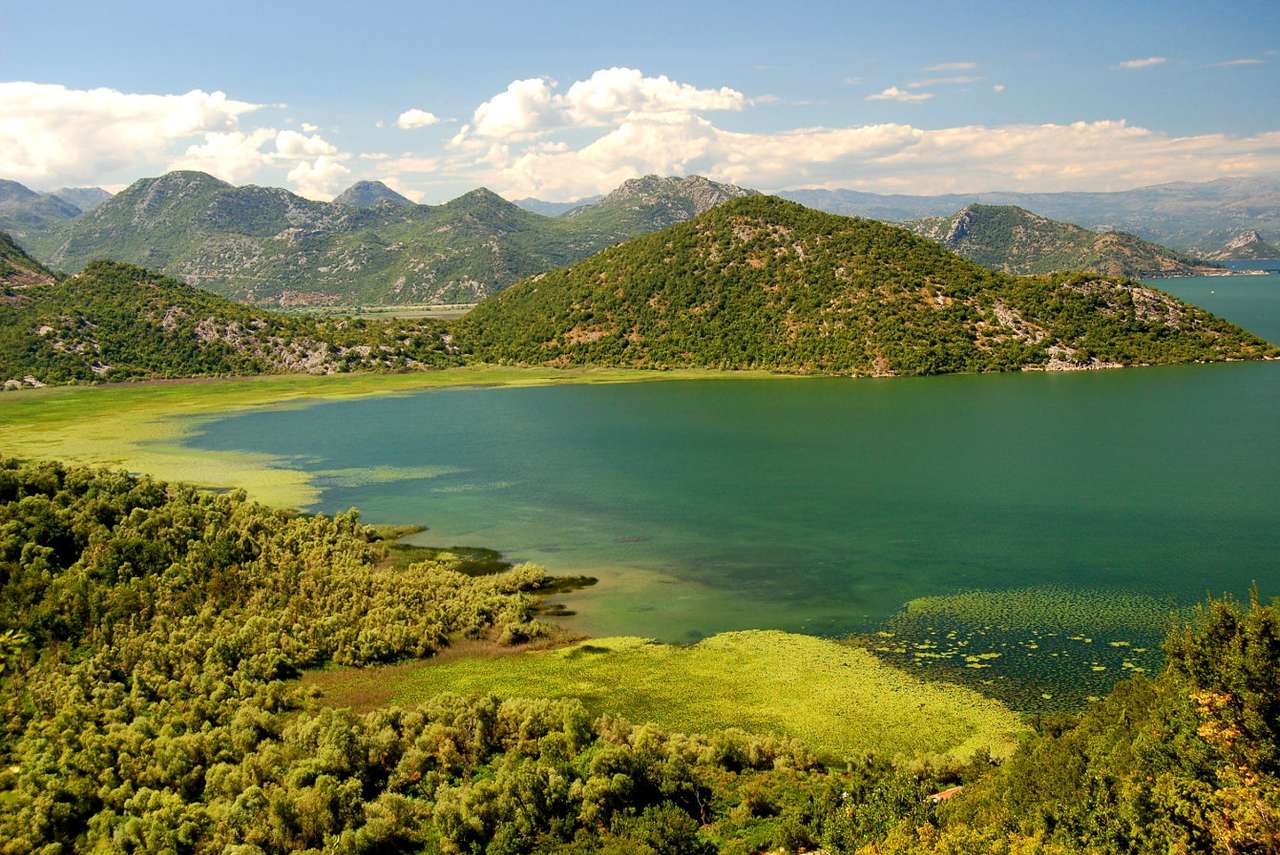 Jezioro Szkoderskie (Czarnogóra) puzzle