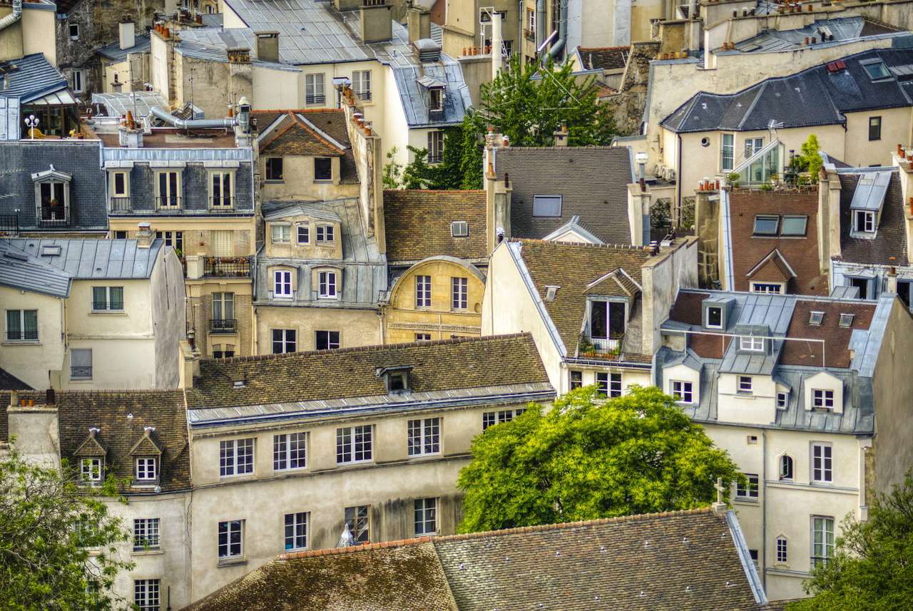 Dachy paryskich kamienic widziane z wieży katedry Notre Dame (Francja) puzzle online