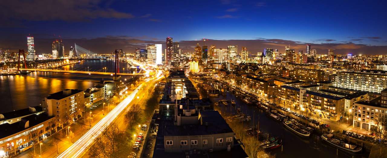 Panorama Rotterdamu (Holandia) puzzle online