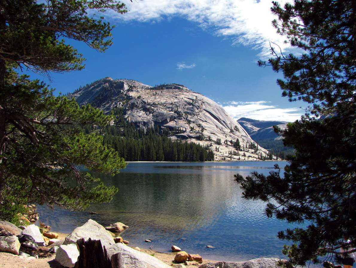 Park Narodowy Yosemite (USA) puzzle online