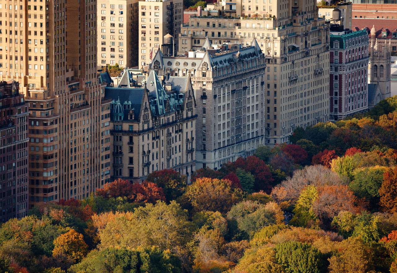 Jesienny Central Park na Manhattanie (USA) puzzle online