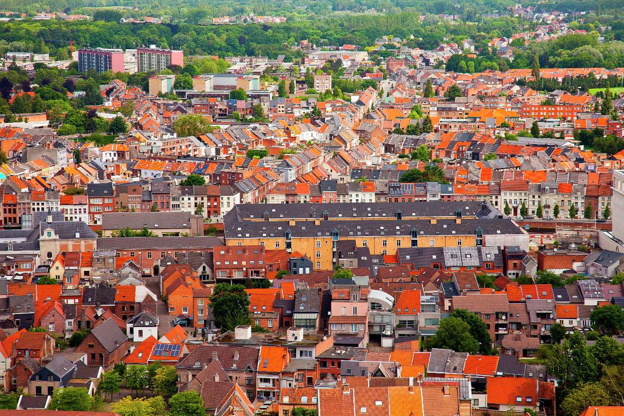 Panorama Mechelen (Belgia) puzzle online ze zdjęcia