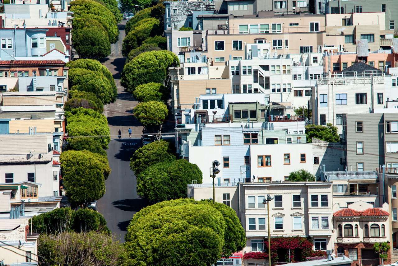 Lombard Street w San Francisco (Stany Zjednoczone) puzzle online