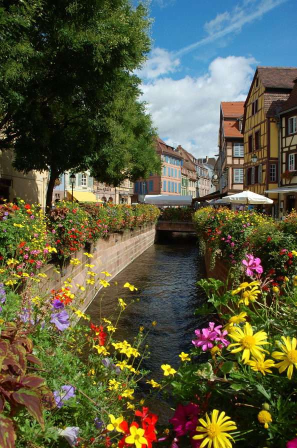 Kwiaty nad kanałem w miasteczku Colmar (Francja) puzzle online