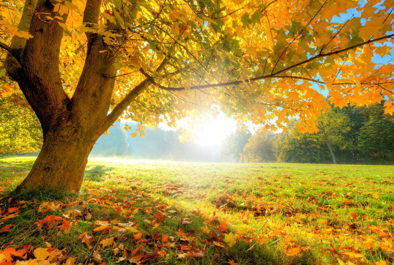 Słoneczny jesienny dzień puzzle online