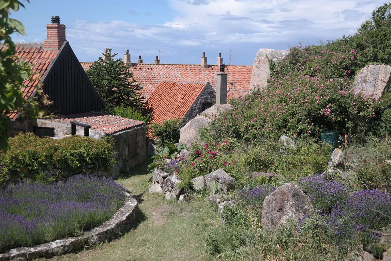Ogród przy zabytkowych domach na Christiansø (Dania) puzzle online