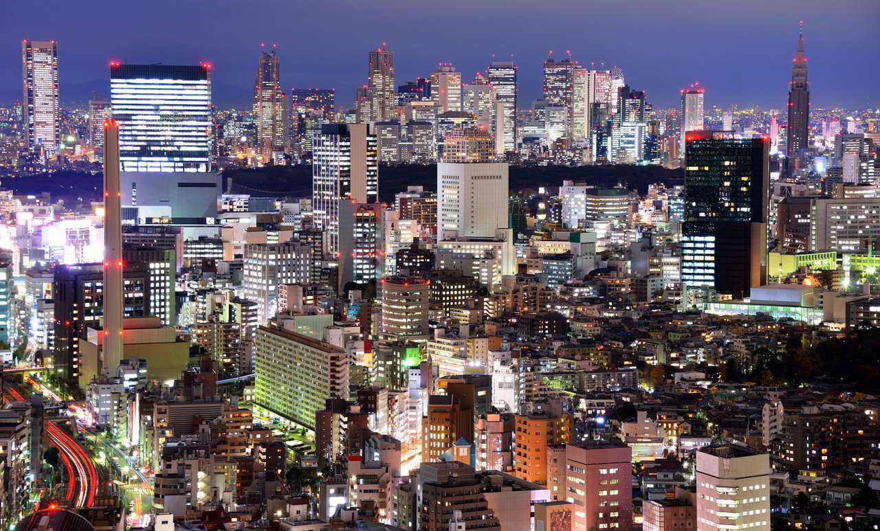 Nocna panorama Shinjuku (Japonia) puzzle online ze zdjęcia