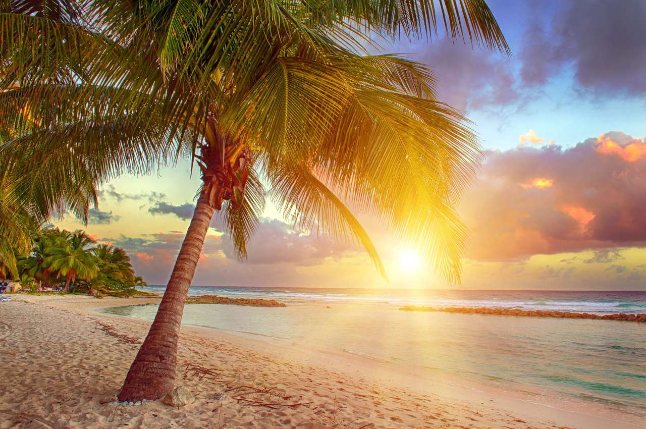 Zachód słońca na plaży (Barbados) puzzle ze zdjęcia