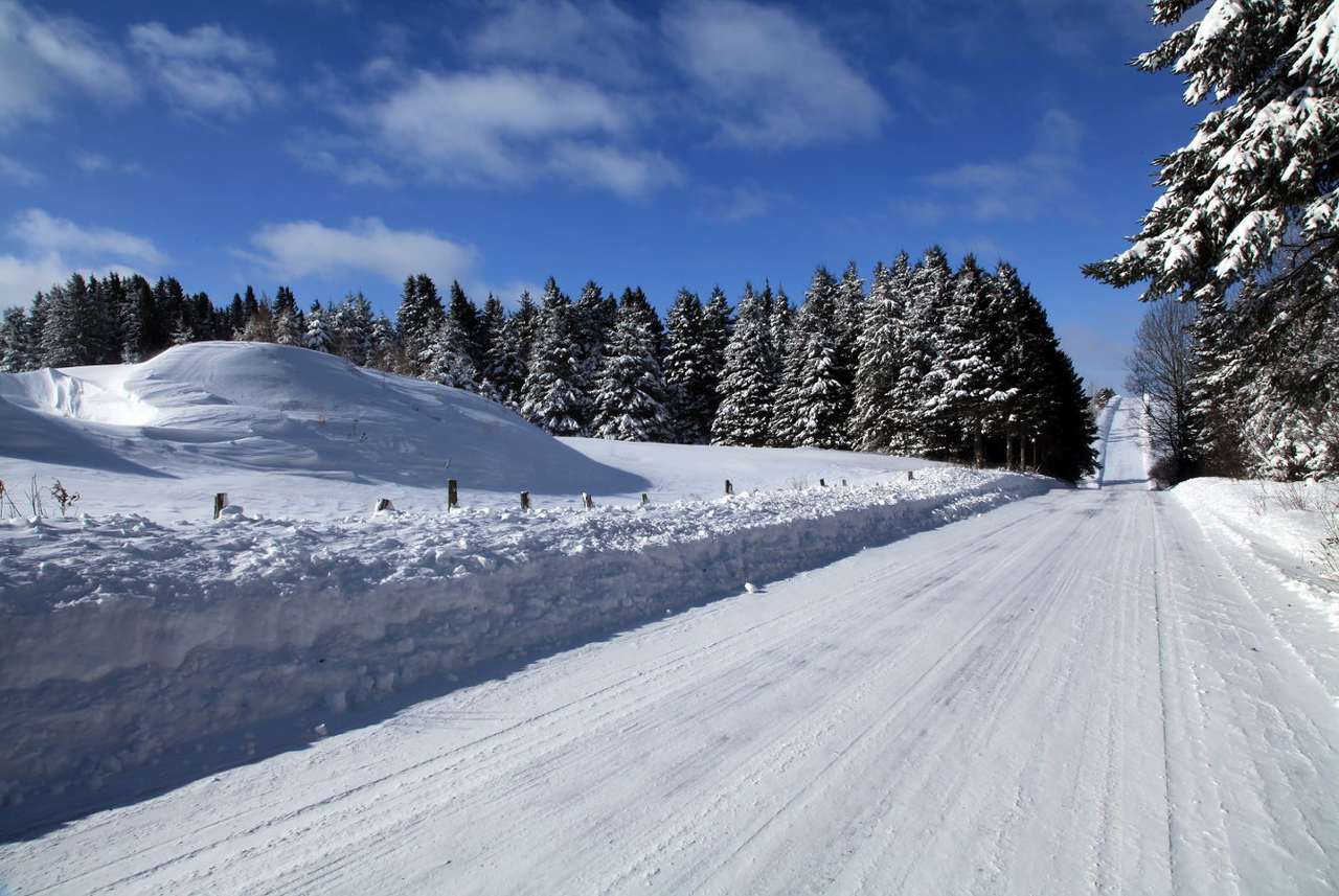 Zimowy krajobraz puzzle online ze zdjęcia