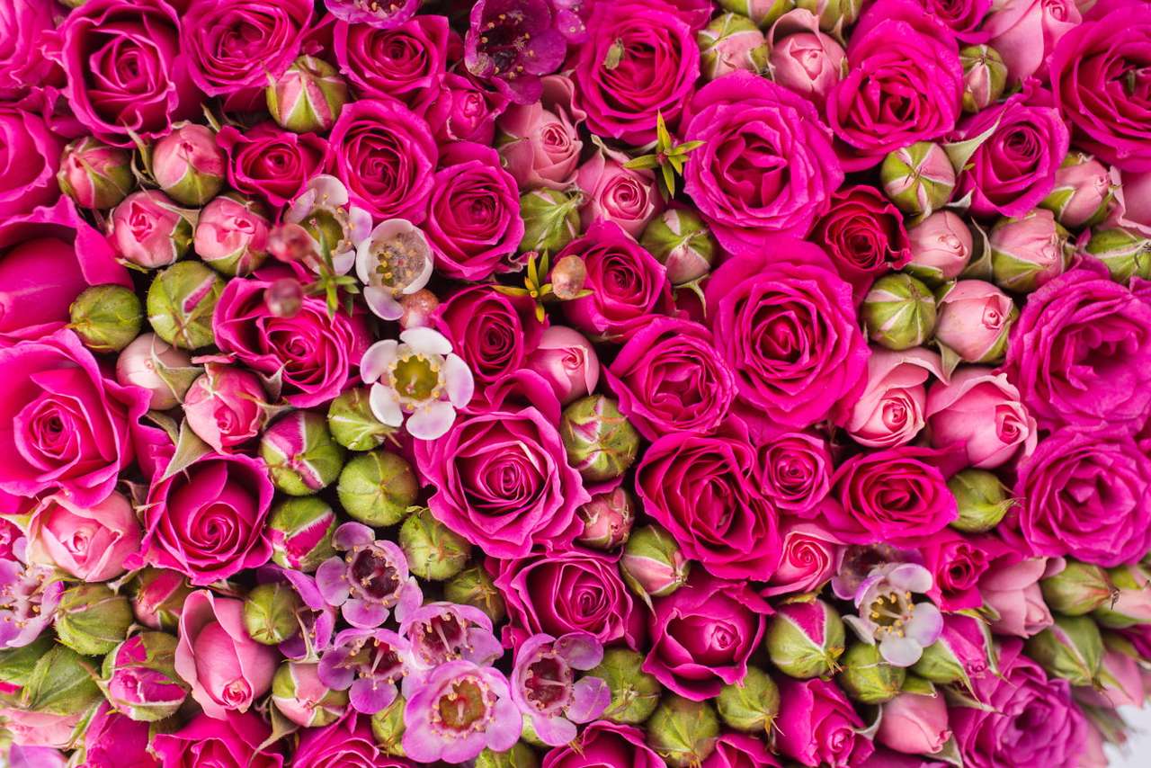Ściana kwiatów puzzle online ze zdjęcia