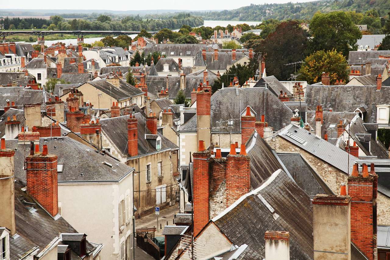 Widok na dachy w Blois (Francja) puzzle online ze zdjęcia