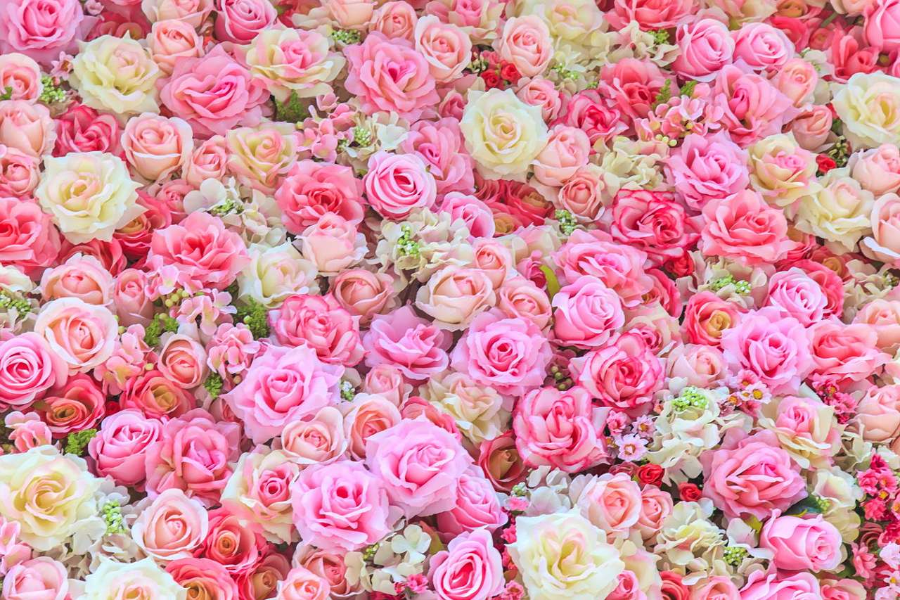 Różowe róże - Pąki puzzle online ze zdjęcia
