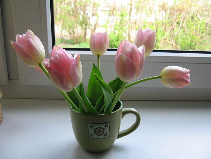 tulipanki puzzle online