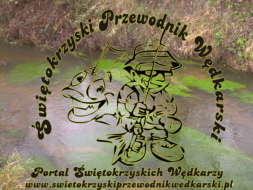 www.swietokrzyskiprzewodnikwedkarski.pl puzzle online