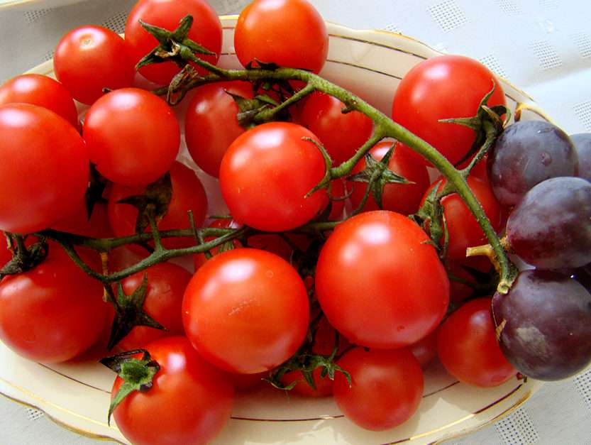 Chyba tęsknie za prawdziwymi pomidorami ;) puzzle ze zdjęcia