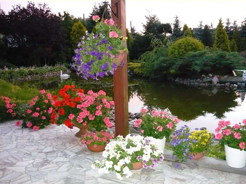 Ogród pełen kwiatów puzzle online