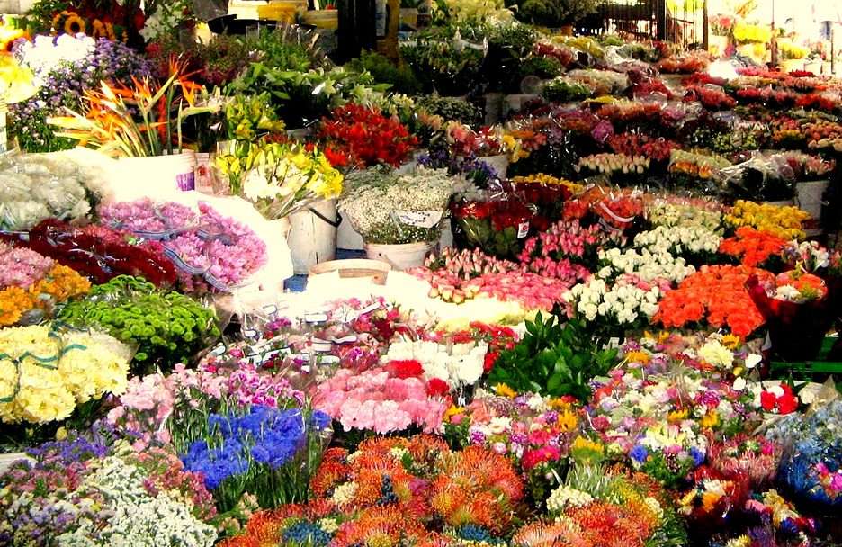 Kwiaciarnia puzzle online ze zdjęcia