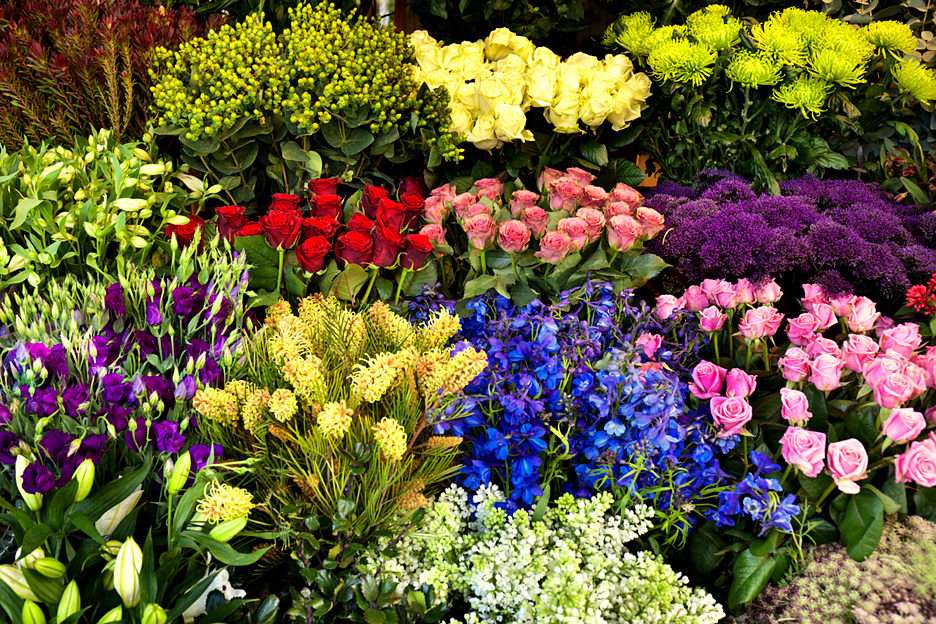 Kwiaciarnia puzzle online ze zdjęcia