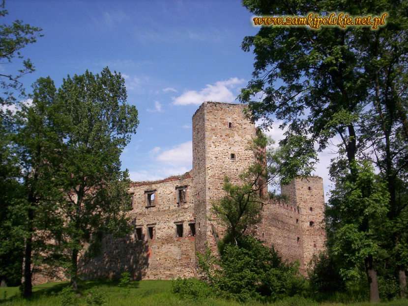 Zamek w Drzewicy puzzle online ze zdjęcia