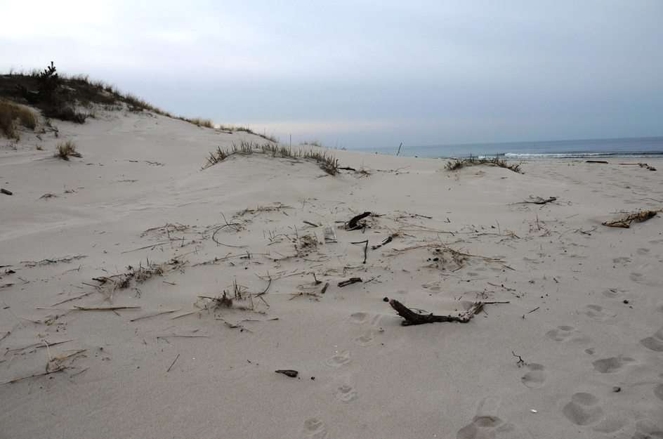 wiosenna plaża nad Bałtykiem puzzle online ze zdjęcia
