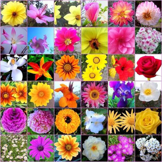 Kwiaty puzzle online