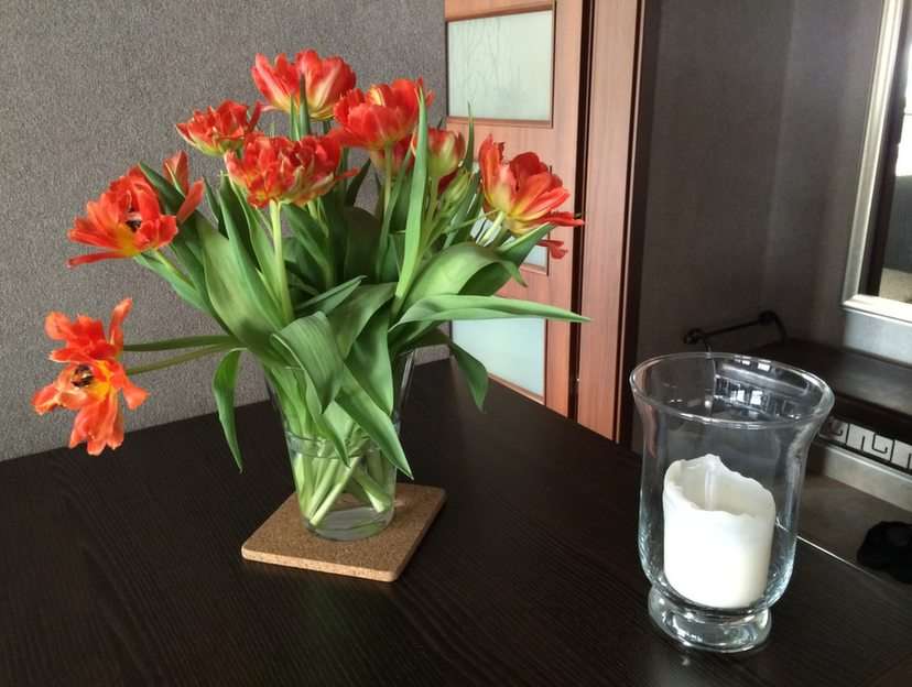 Tulipany puzzle online ze zdjęcia