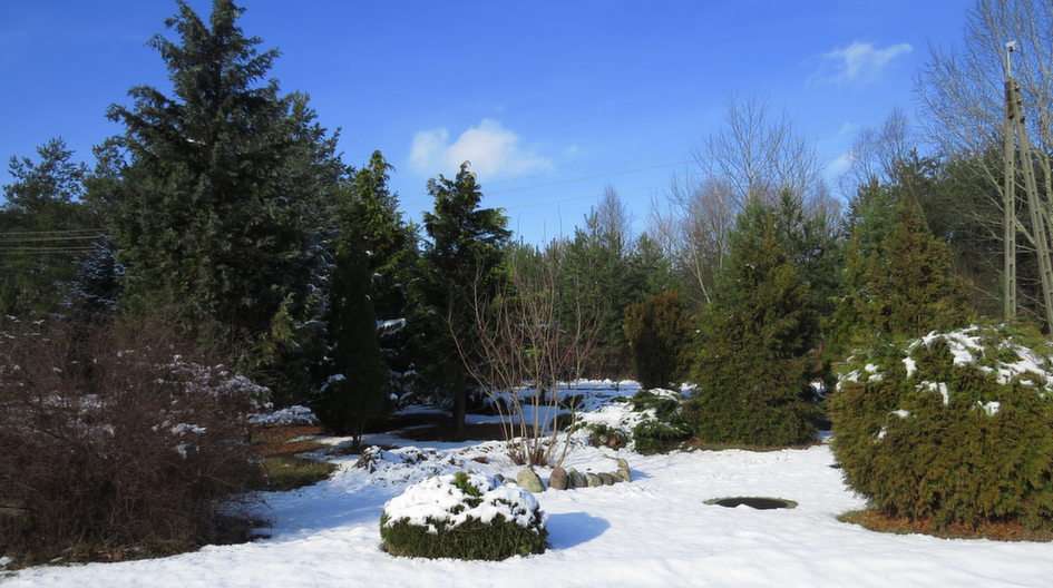 Ogród zimową porą puzzle online ze zdjęcia