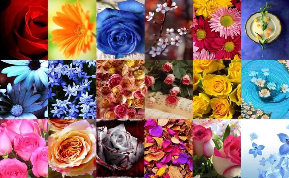 fiori puzzle online ze zdjęcia