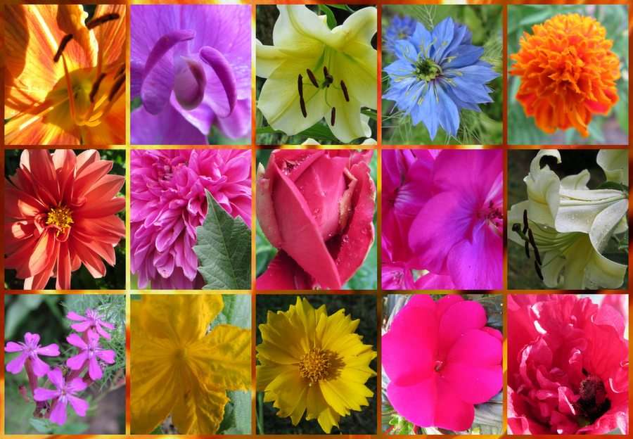 lipcowe kwiaty puzzle online ze zdjęcia