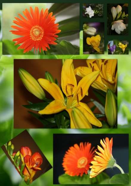 kolaż kwiatowy puzzle online ze zdjęcia