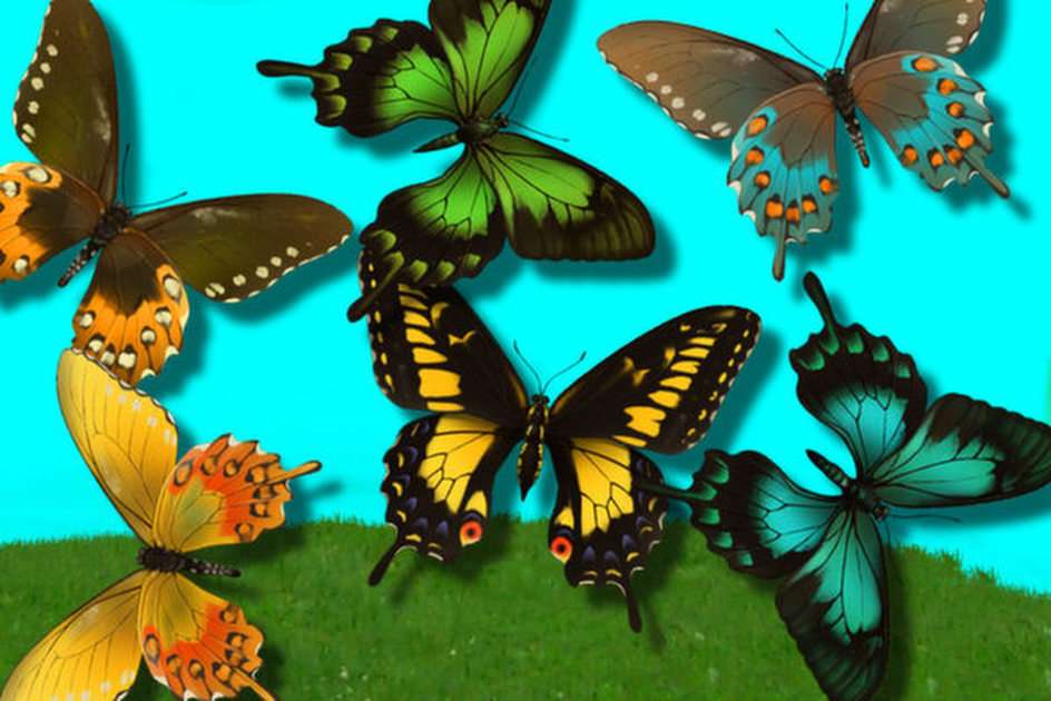 Ogród motyli puzzle online