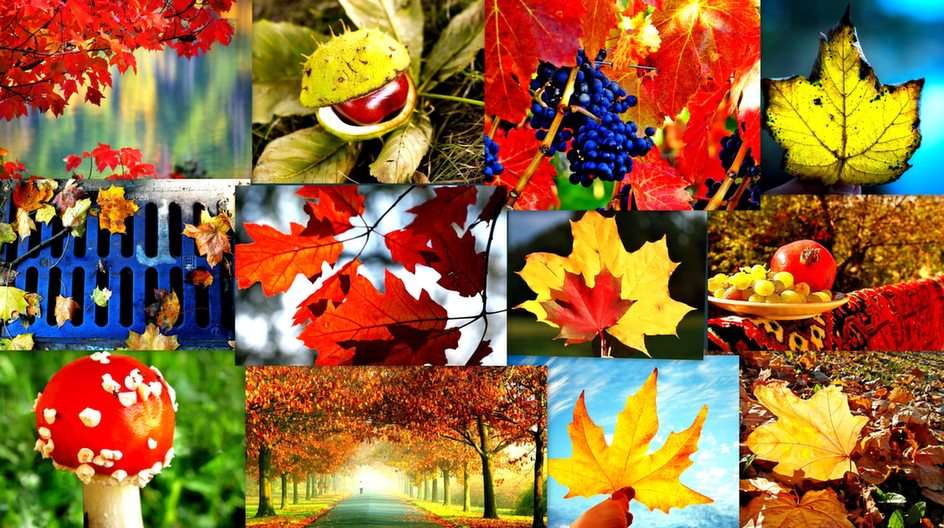 Collage jesienny puzzle ze zdjęcia