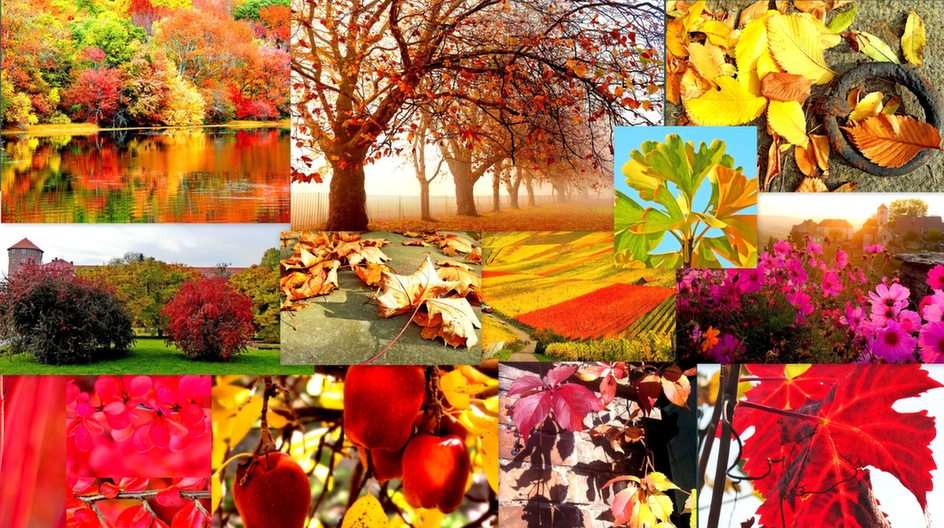 Collage jesienny puzzle online ze zdjęcia