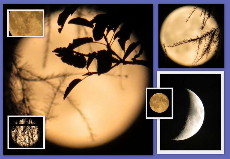 księżycowy kolaż puzzle online ze zdjęcia