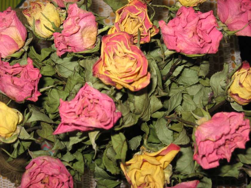 zasuszone róże puzzle online ze zdjęcia