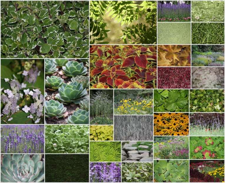 cudowny świat roślin puzzle online