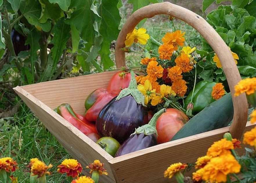 Légumes frais puzzle online ze zdjęcia