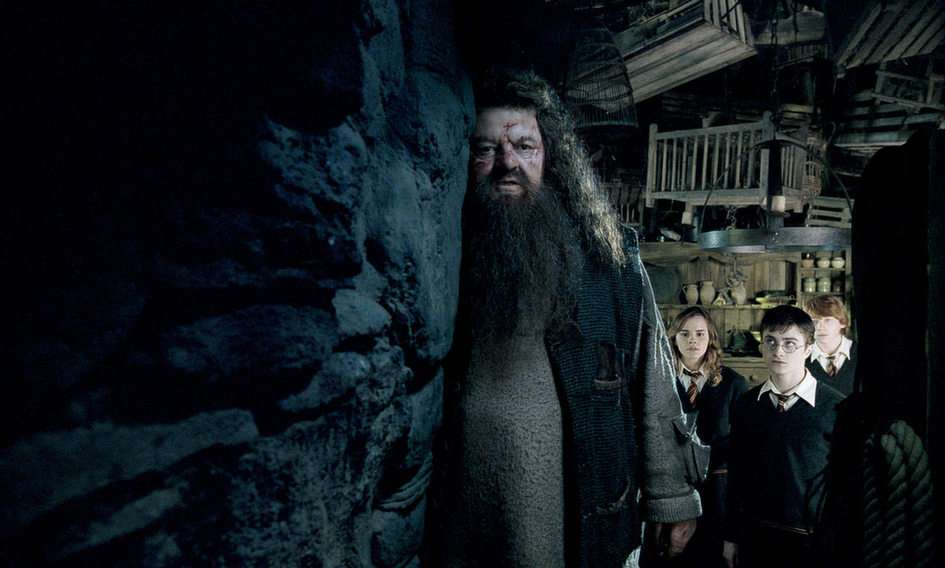 Hagrid puzzle online ze zdjęcia