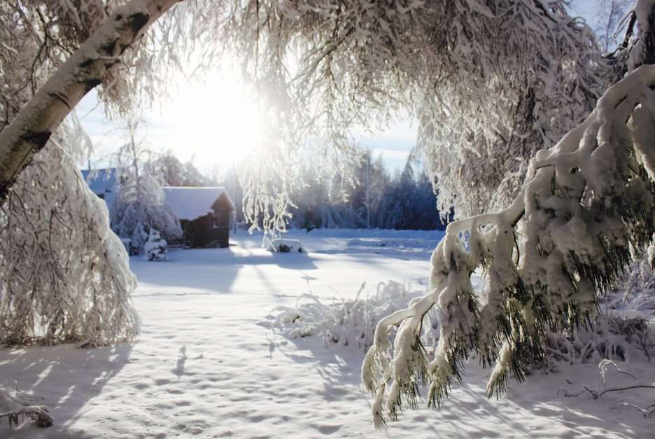 Zima w Kanadzie puzzle online ze zdjęcia