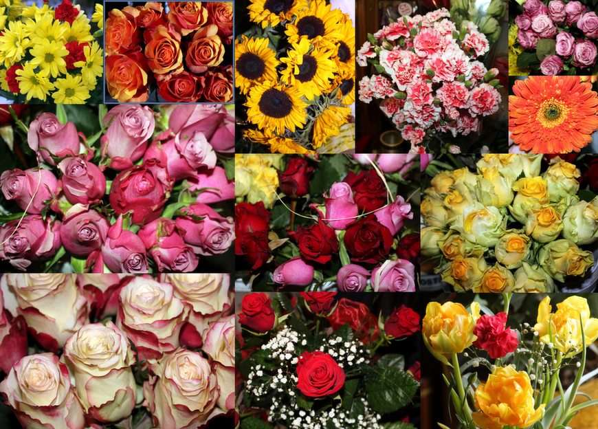 kwiaty collage puzzle online ze zdjęcia