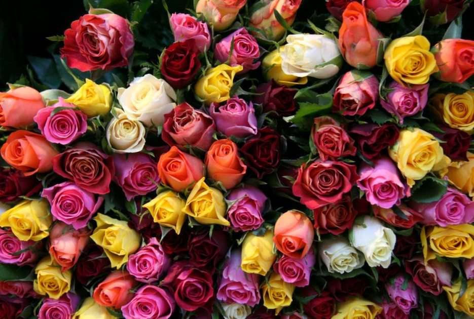 Bukiet róż dla Puzzlowiczek puzzle online ze zdjęcia