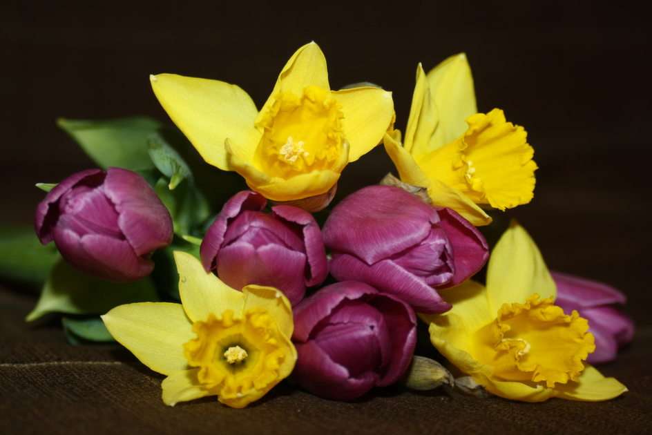 wiosenne kwiaty puzzle online ze zdjęcia