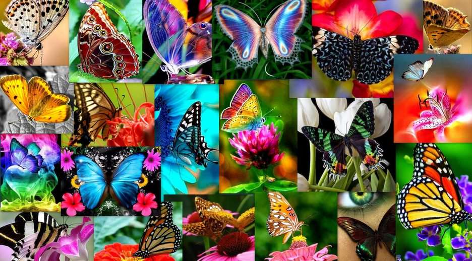 Bajeczne motyle puzzle online