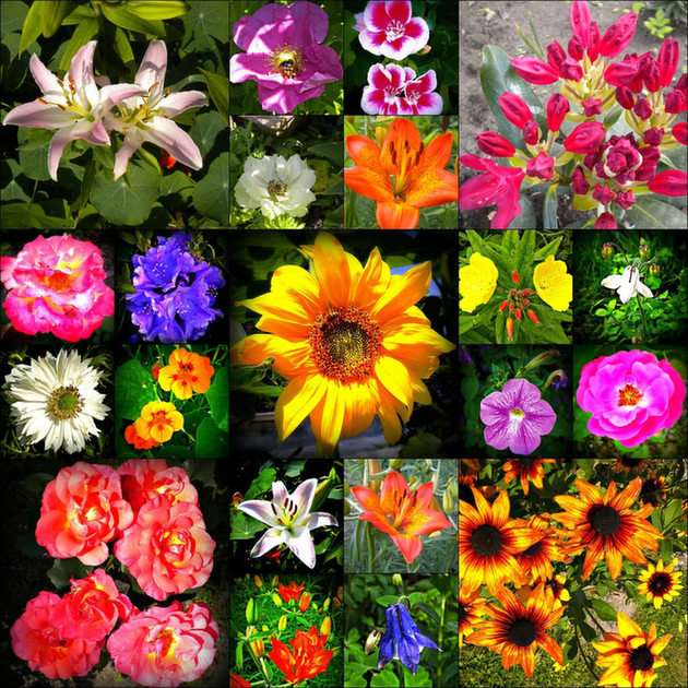 Kwiatowy kolaż puzzle online