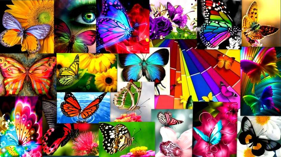 Motyle puzzle online ze zdjęcia