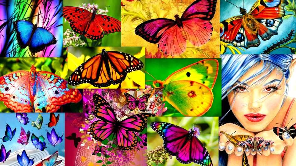 Bajeczne motyle puzzle online ze zdjęcia