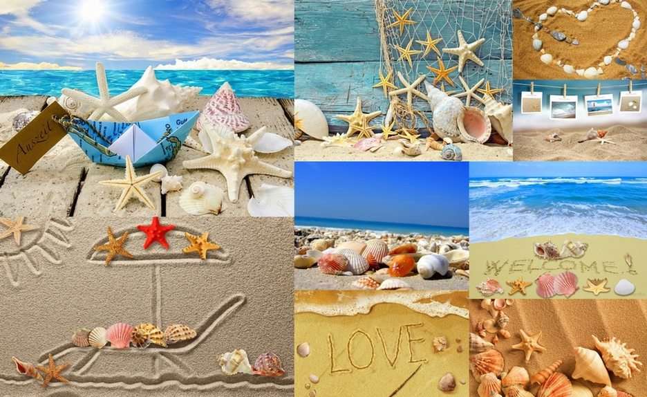 Morze,muszelki,piasek puzzle online